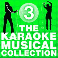 The City of Prague Philharmonic Orchestra - The Karaoke Musical Collection (Vol. 3)