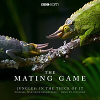 Tom Howe - The Mating Game - Jungles: In The Thick Of It (Original Television Soundtrack)