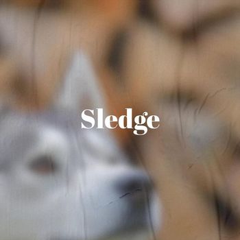 Various Artists - Sledge