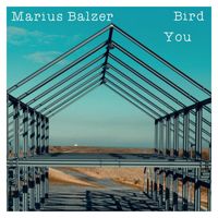 Marius Balzer - Bird