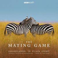 Tom Howe - The Mating Game - Grasslands: In Plain Sight (Original Television Soundtrack)