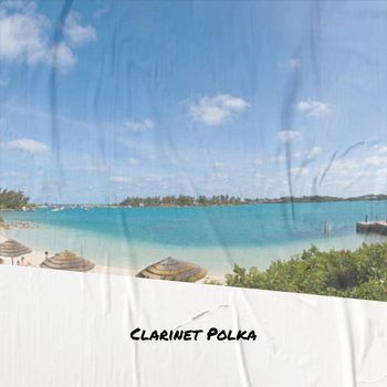 Various Artist - Clarinet Polka