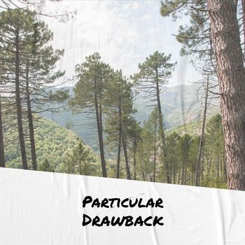 Various Artists - Particular Drawback