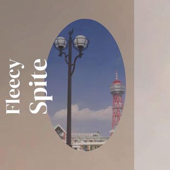 Various Artists - Fleecy Spite