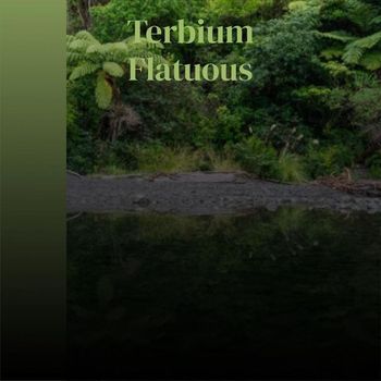 Various Artists - Terbium Flatuous