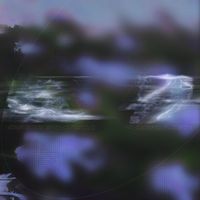 Obwigszyh - Shards
