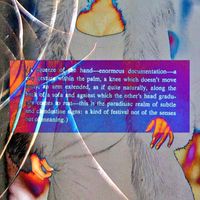 Ex Aquis - Distrust Amongst Friends