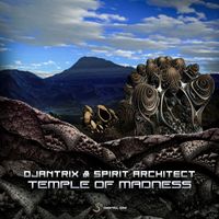 Djantrix and Spirit Architect - Temple of Madness