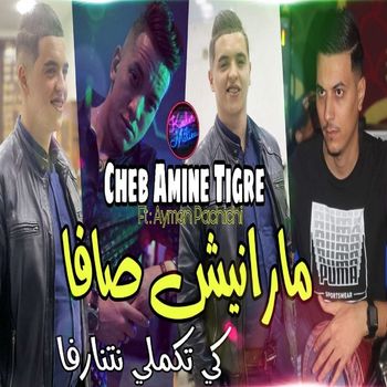 Cheb Amine Tigre - Manich ça va Ki Tekmeli Netnarfa