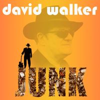 David Walker - Junk