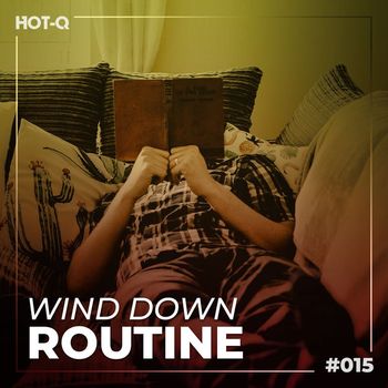 Various Artists - Wind Down Routine 015