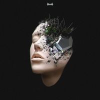 Pfista - CRYSTAL
