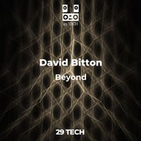 David Bitton - Beyond