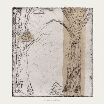 Salamanda - Drink Wisdom