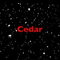 Cedar - The Tree Is Up