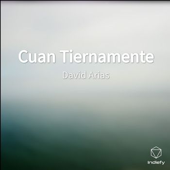 David Arias - Cuan Tiernamente