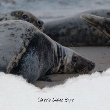 Various Artists - Classic Oldies Bops