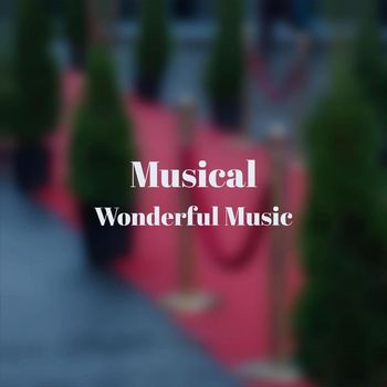 Various Artists - Musical Wonderful Music