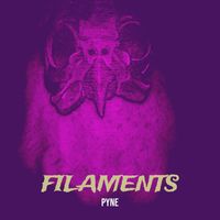 Pyne - Filaments