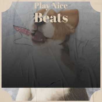 Various Artists - Play Nice Beats