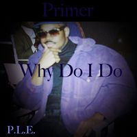 Primer - Why Do I Do
