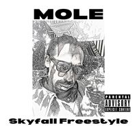 Mole - Skyfall Freestyle (Explicit)