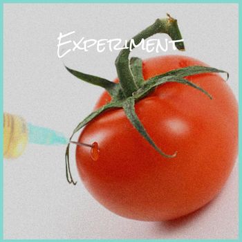 Various Artists - Experiment