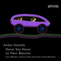 Andre Gazolla - Never Say Never / La Fleur Blanche