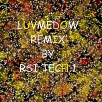 RSI tech 1 - LUVMEDOW (Remixes [Explicit])