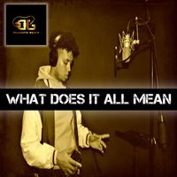 Dj Phanatic Beats - What Does It All Mean