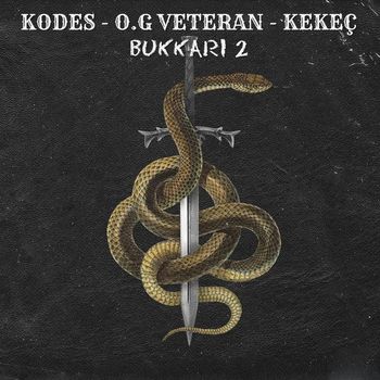 Kodes - Bukkari 2 (Explicit)