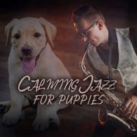 Piano Jazz Calming Music Academy - Calming Jazz for Puppies