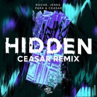 Roche - HIDDEN (Ceasar Remix)