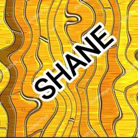 Shane - Ligaw ng torpe