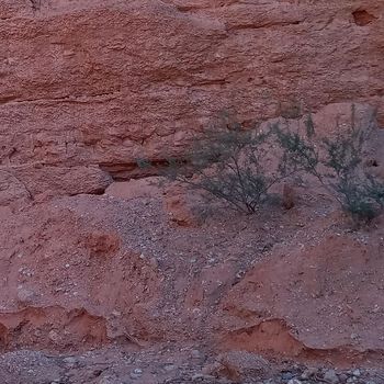 Tim Clark - They Never Left Us