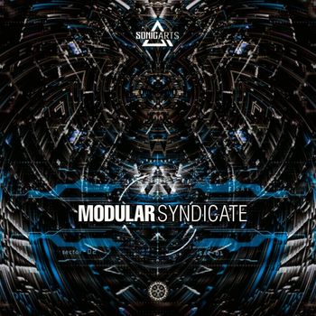 Sonic Arts - Modular Syndicate