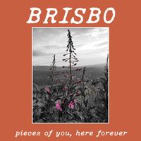 Brisbo - Pieces of You, Here Forever (Explicit)