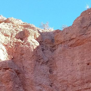 Tim Clark - Let the Beast Out