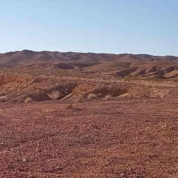 Tim Clark - The Thrill Is Back