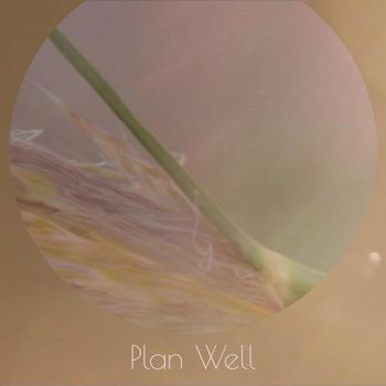 Various Artists - Plan Well