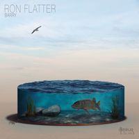 Ron Flatter - Barry