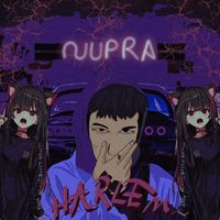 Harlem - SUPRA