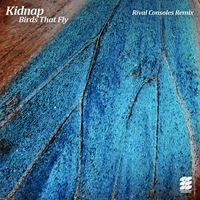 Kidnap - Birds That Fly (Rival Consoles Remix)