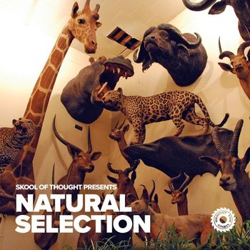 Various Artists - Skool of Thought presents Natural Selection