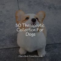 Dog Music Club, Calming Music for Dogs, Music For Dogs Peace - 50 Therapeutic Collection For Dogs