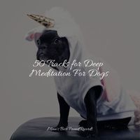 Dog Music Club, Calming Music for Dogs, Music For Dogs Peace - 50 Tracks for Deep Meditation For Dogs