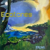 Fauna - Ecotones