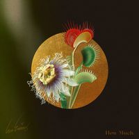 Ian Ewing - How Much