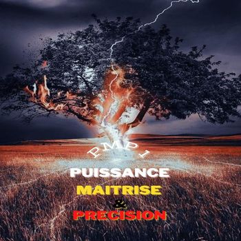 Various Artists - PMP, Vol. 1: Puissance Maitrise & Précision