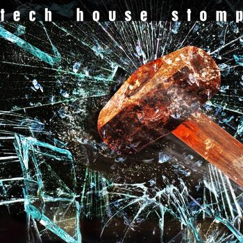 Various Artists - Tech House Stomp